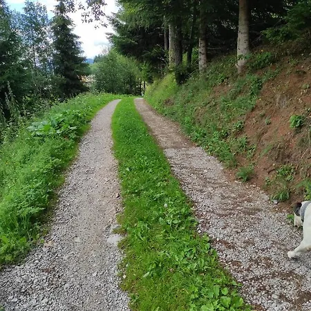 Nocleg ze śniadaniem Antico Tabia Dolomitico 3*