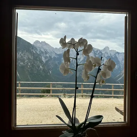 Antico Tabia Dolomitico 3* Santo Stefano Di Cadore
