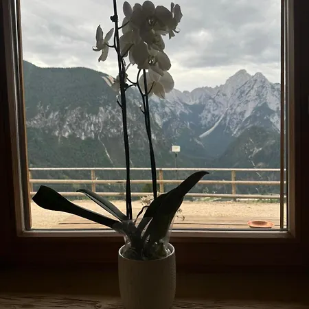 Bed and Breakfast Antico Tabia Dolomitico