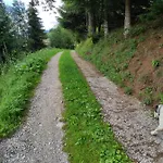 B&B Antico Tabia Dolomitico 3*