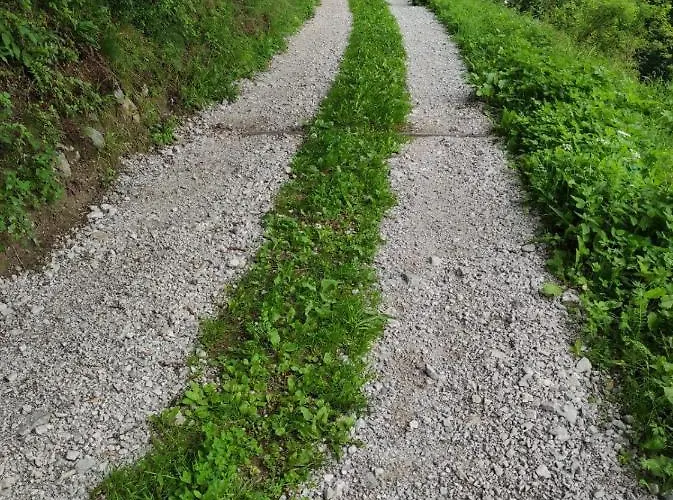 Antico Tabia Dolomitico